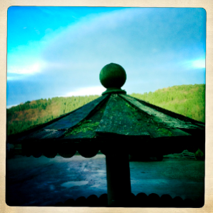 birdtable